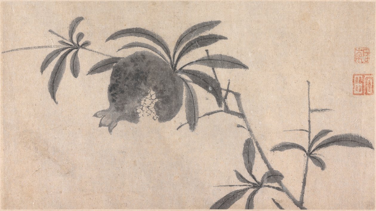 Frutta da Shen Zhou