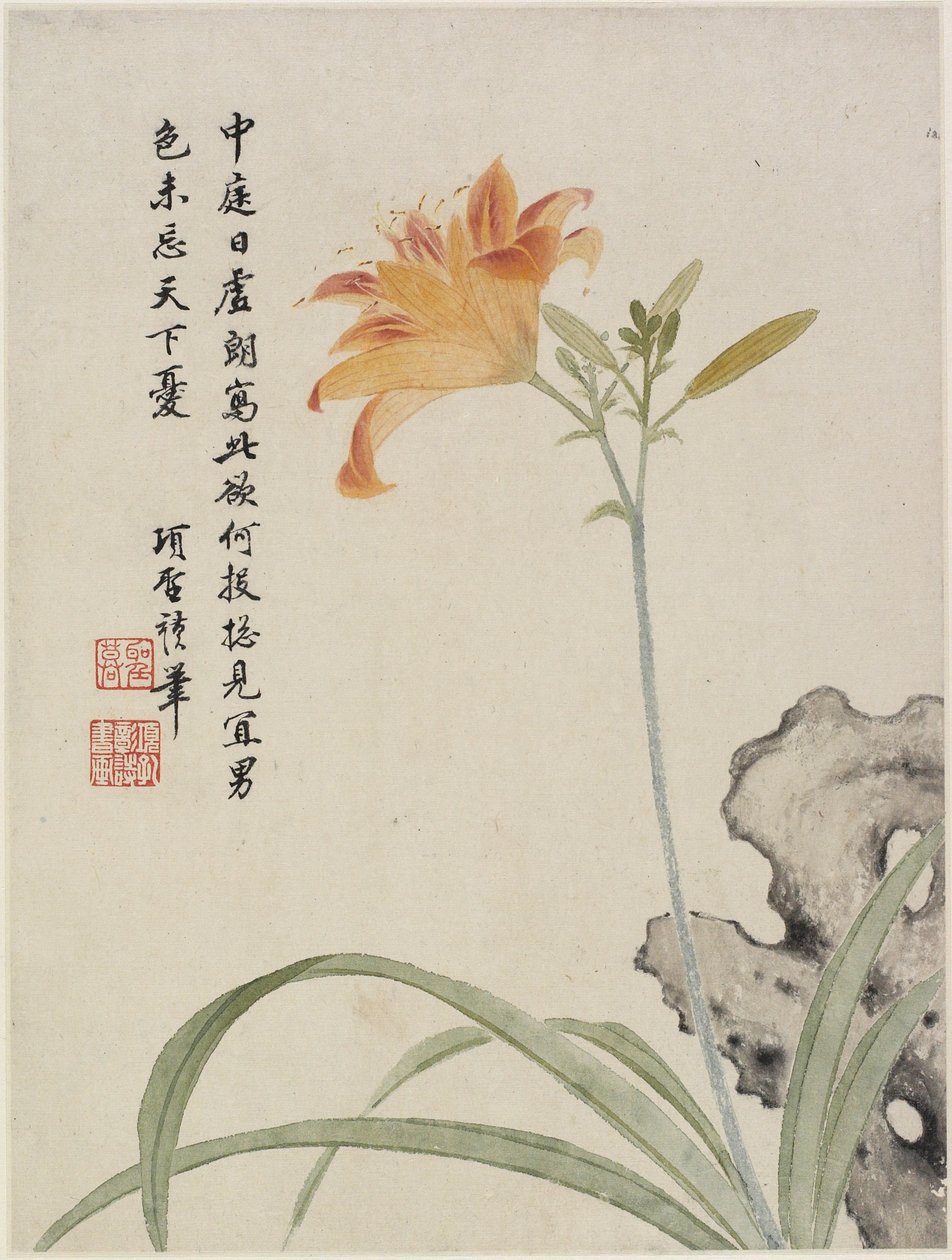 Giglio diurno da un album di fiori di dieci foglie, 1656 da Shengmo Xiang