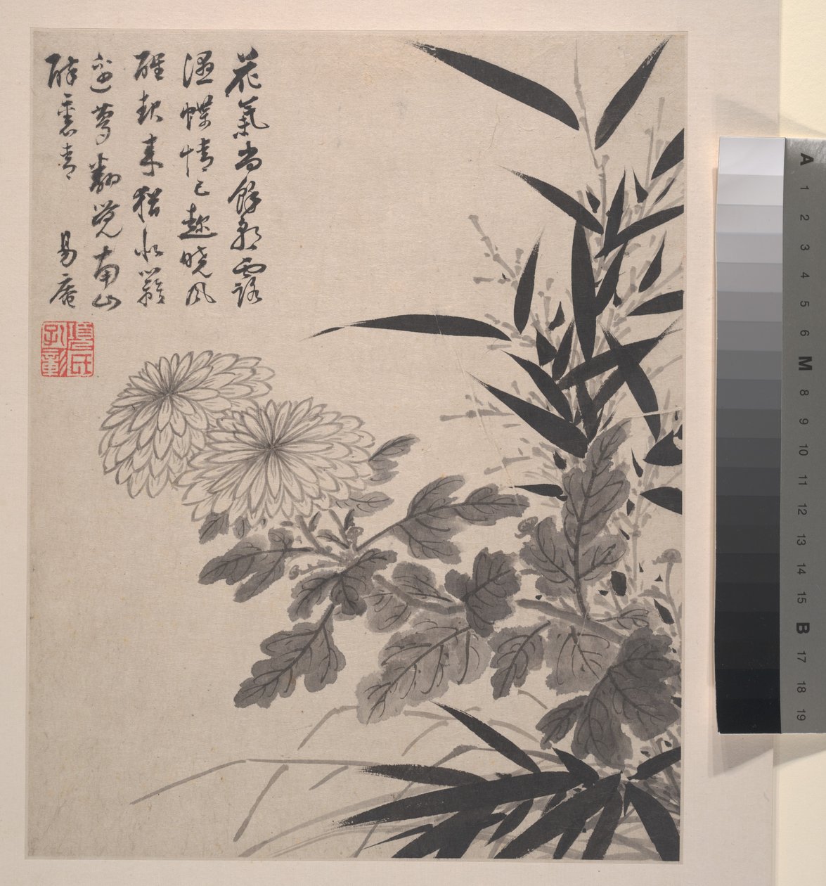 Paesaggi, fiori e uccelli, datato 1639 (album di otto dipinti; inchiostro e colore su carta) da Shengmo Xiang