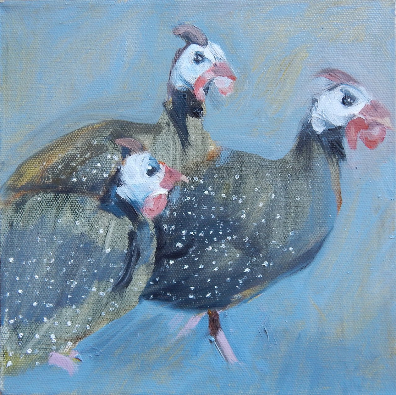 Faraona uno, 2014 da Sheri Gee