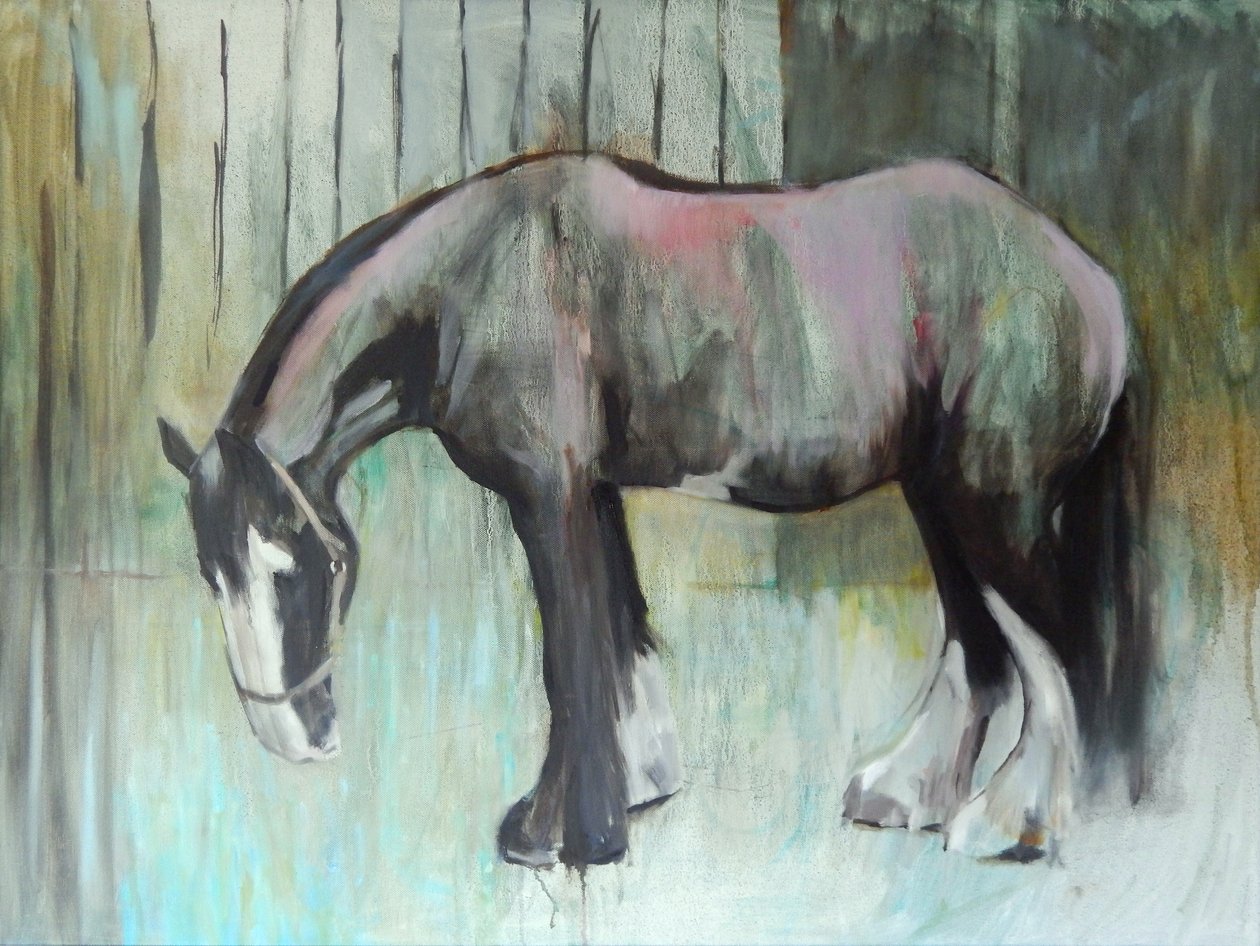 Morpheus in gennaio, 2013 da Sheri Gee