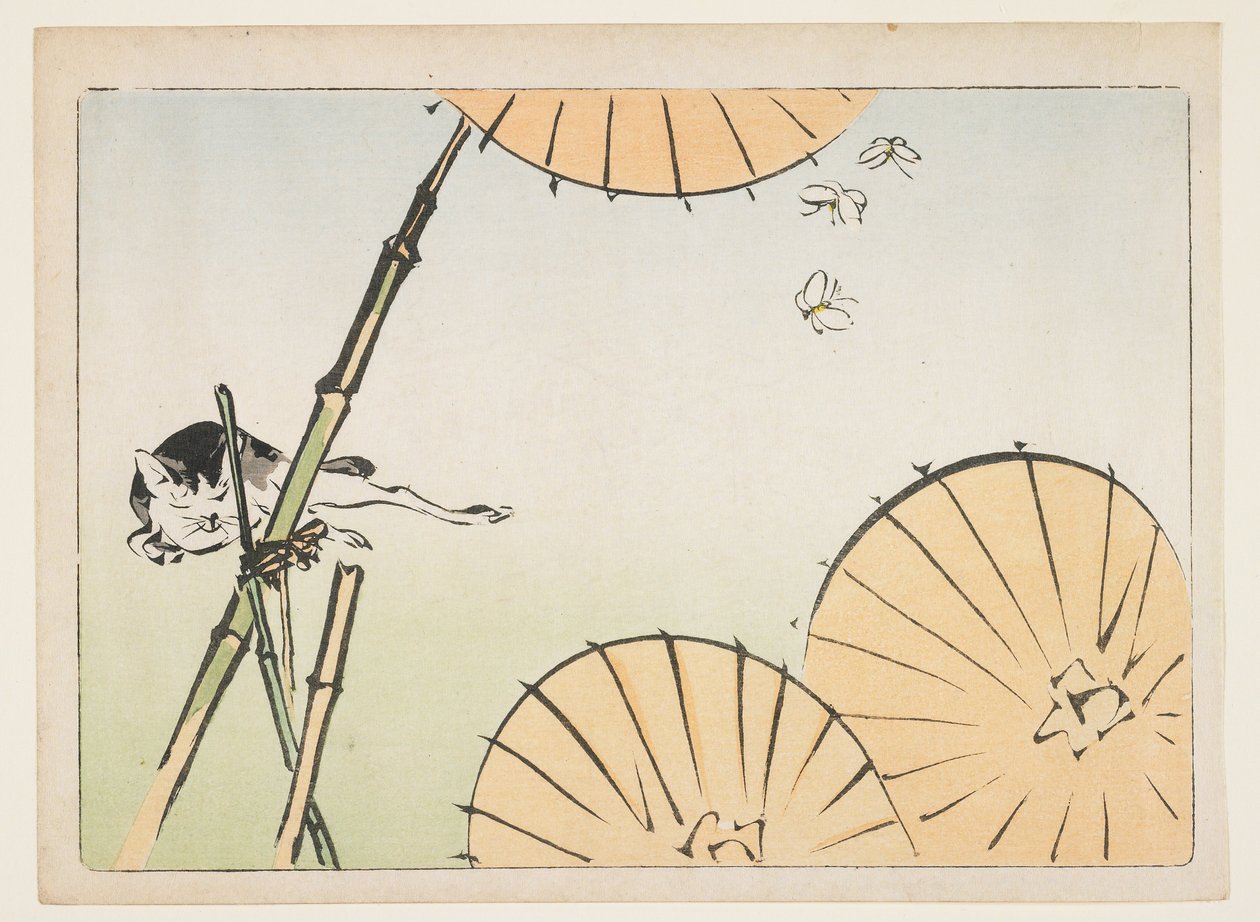 Bambù, ombrelli, un gatto e farfalle da Shibata Zeshin