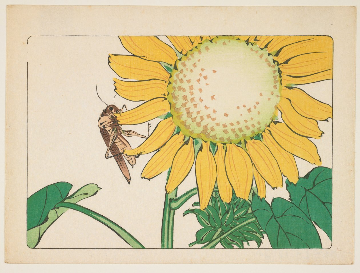 (Cavalletta e girasole) da Shibata Zeshin