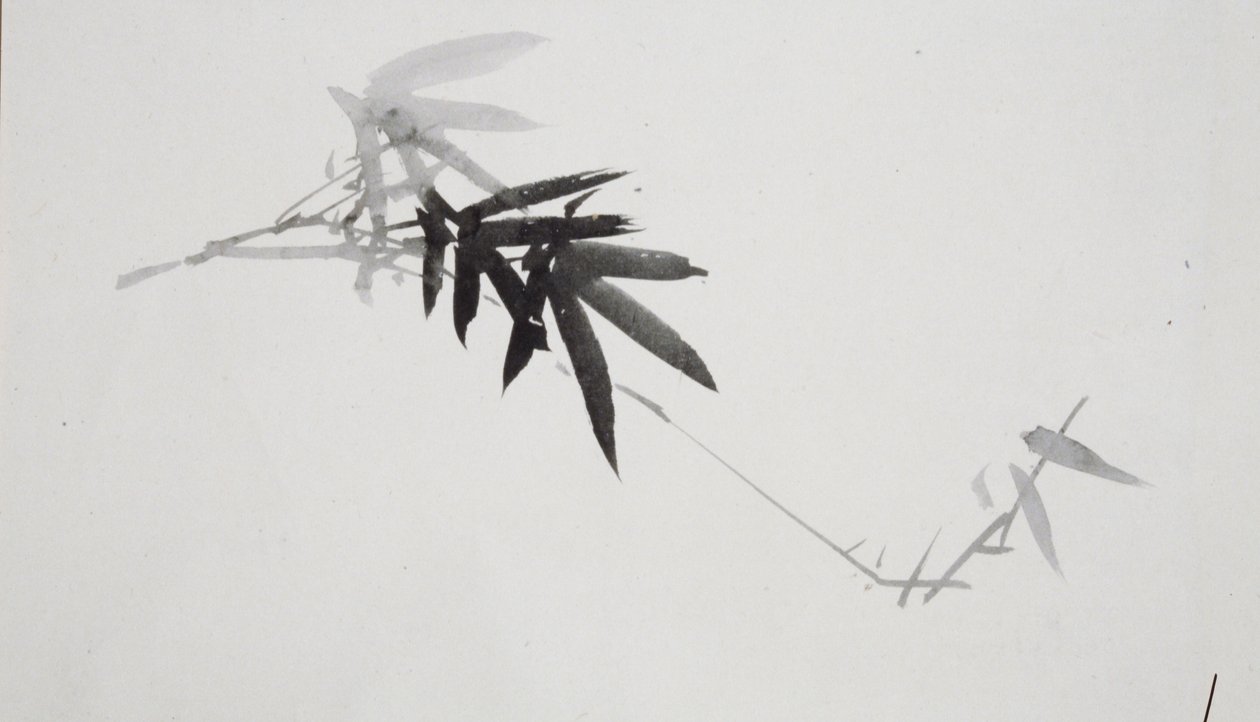 Studi di fiori [uno di una coppia] da Shibata Zeshin