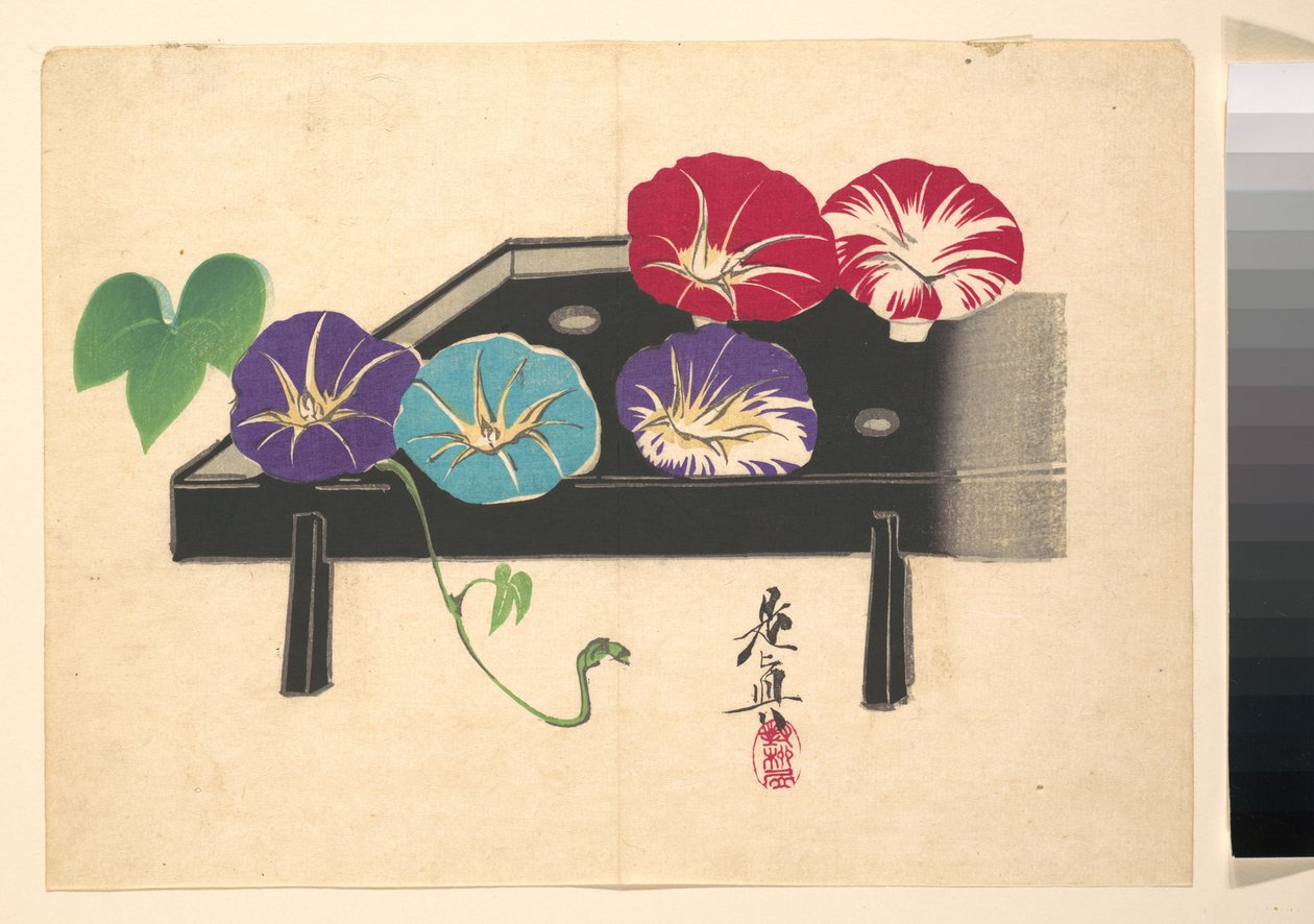Ipomee da Shibata Zeshin