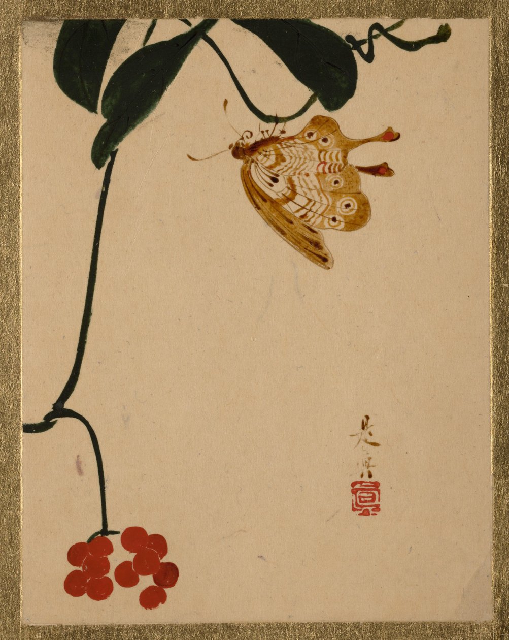 Pianta con bacche rosse e farfalla da Shibata Zeshin