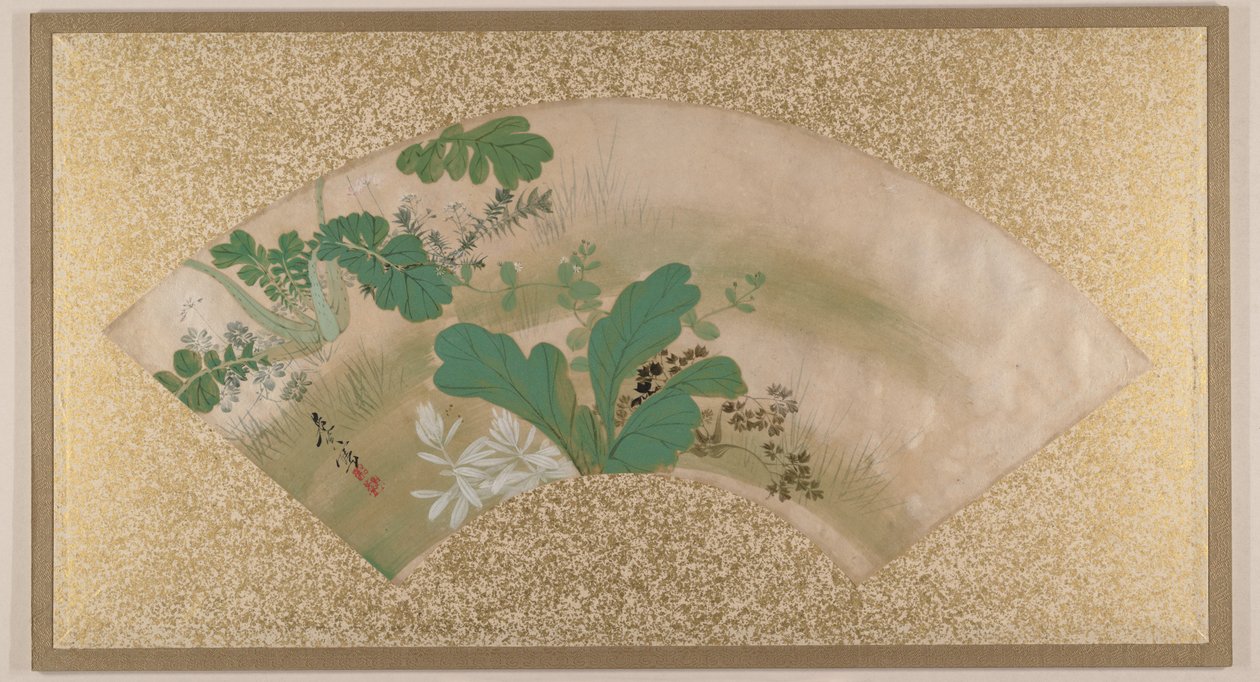 Varie piante ed erba da Shibata Zeshin