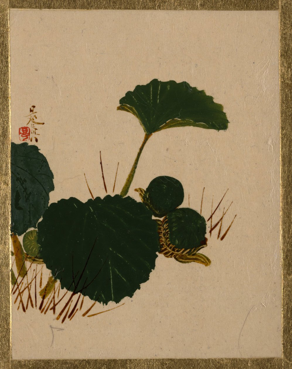 Verme su pianta a foglie verdi da Shibata Zeshin