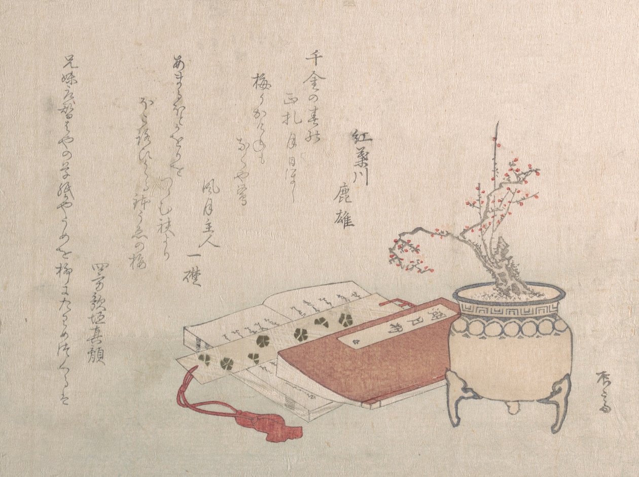 Albero di prugne in vaso in fiore e libri da Shinsai
