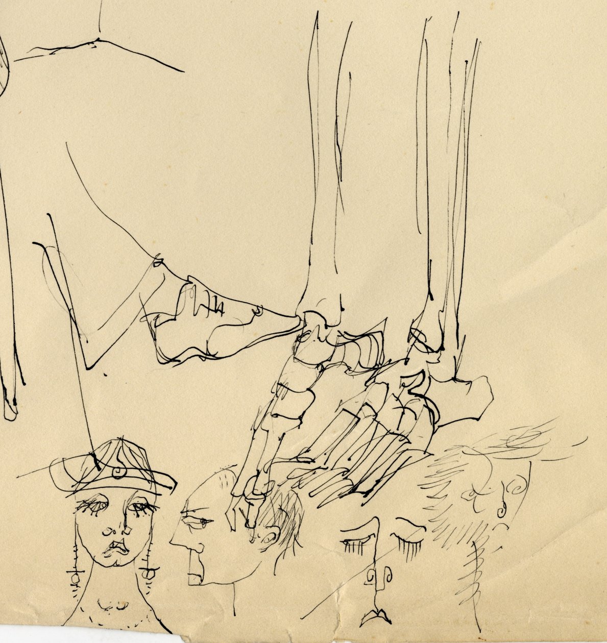 Volti e ossa del piede, 1953 da Shirley Markham