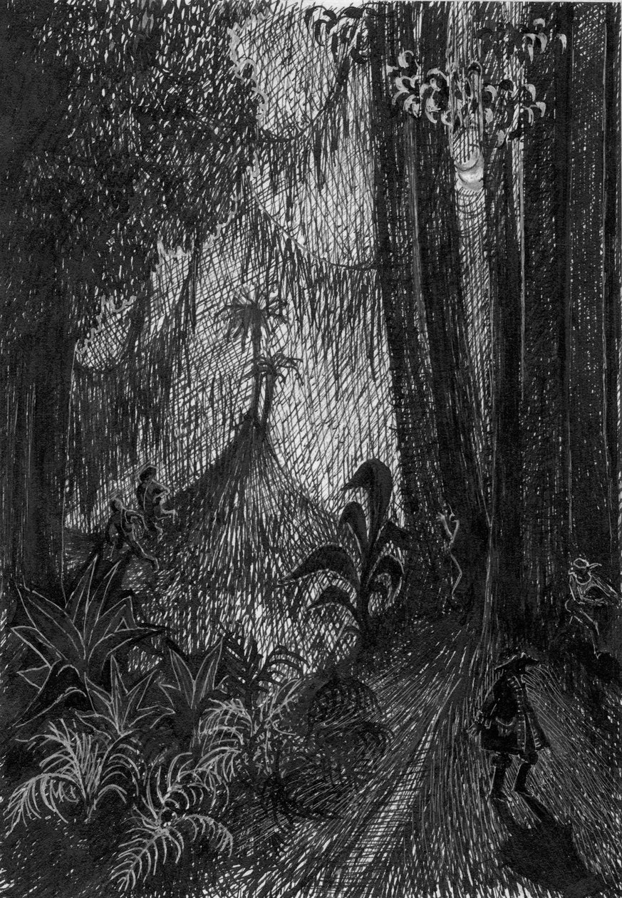 Pirata nella foresta pluviale da Shirley Markham