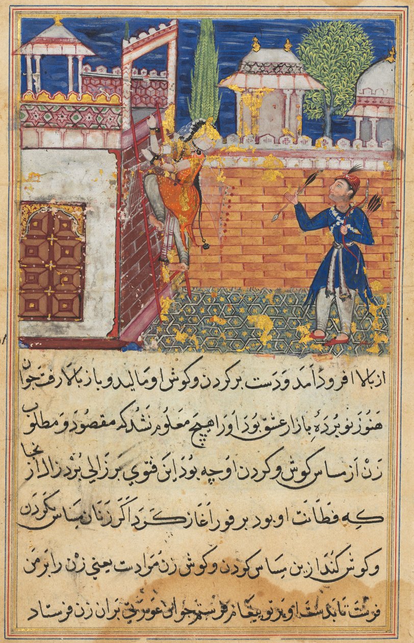 Pagina da Racconti di un pappagallo Tuti-nama: Ottava notte: La moglie ingannevole ritorna..., 1558-1560 da Shravana