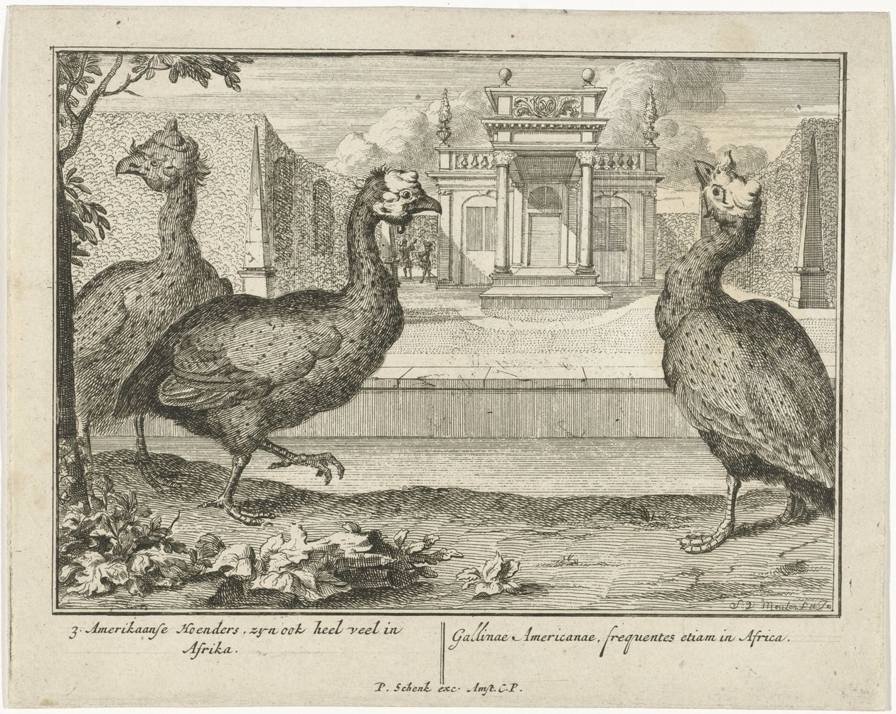 Faraone da Sieuwert van der Meulen