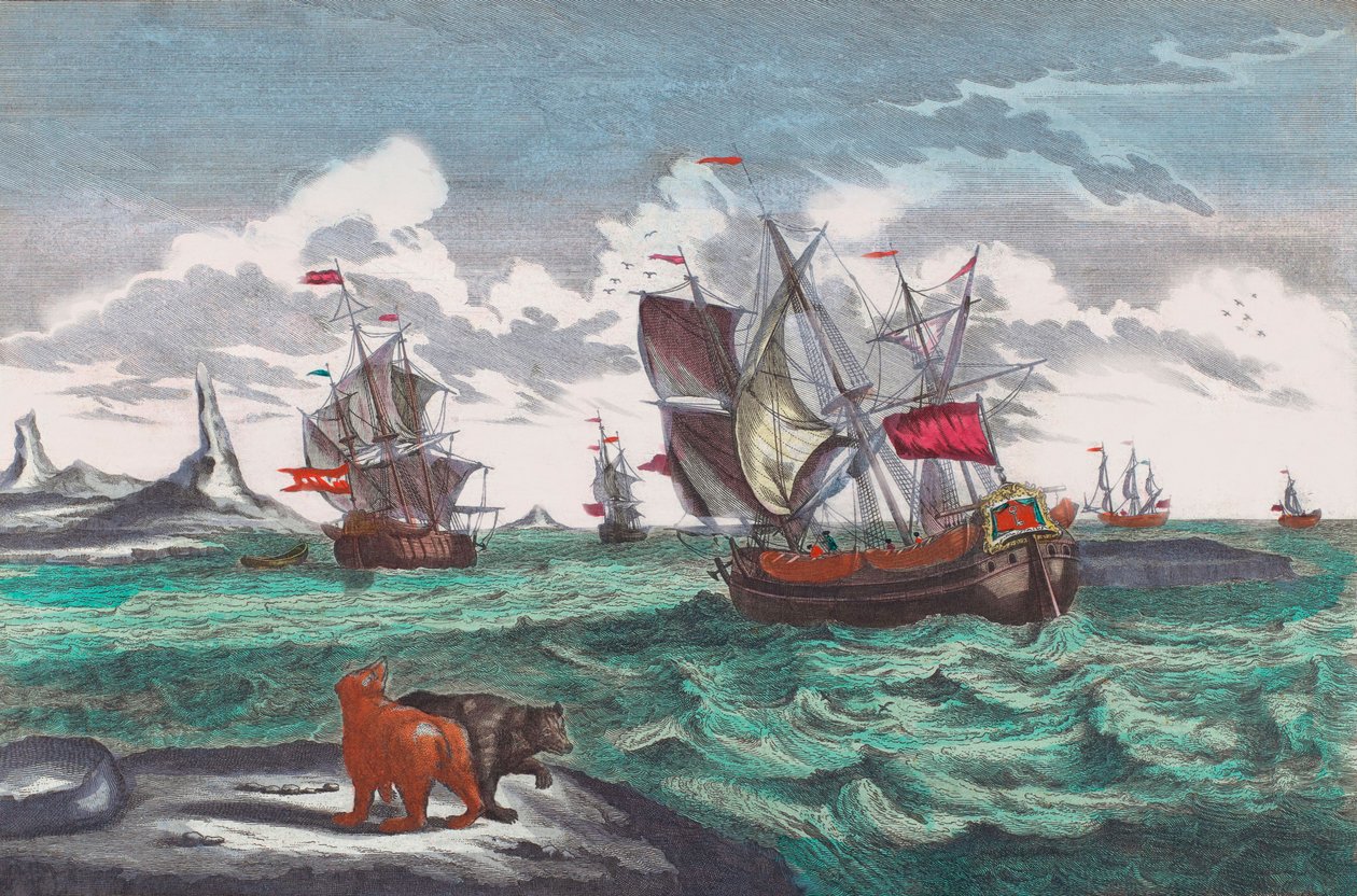 Flotta baleniera al largo della Groenlandia nel XVIII secolo da Sieuwert van der Meulen