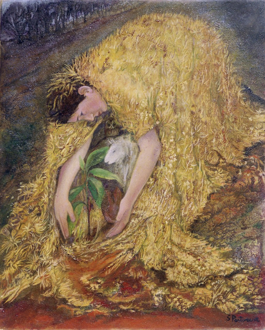 Il giardiniere da Silvia Pastore