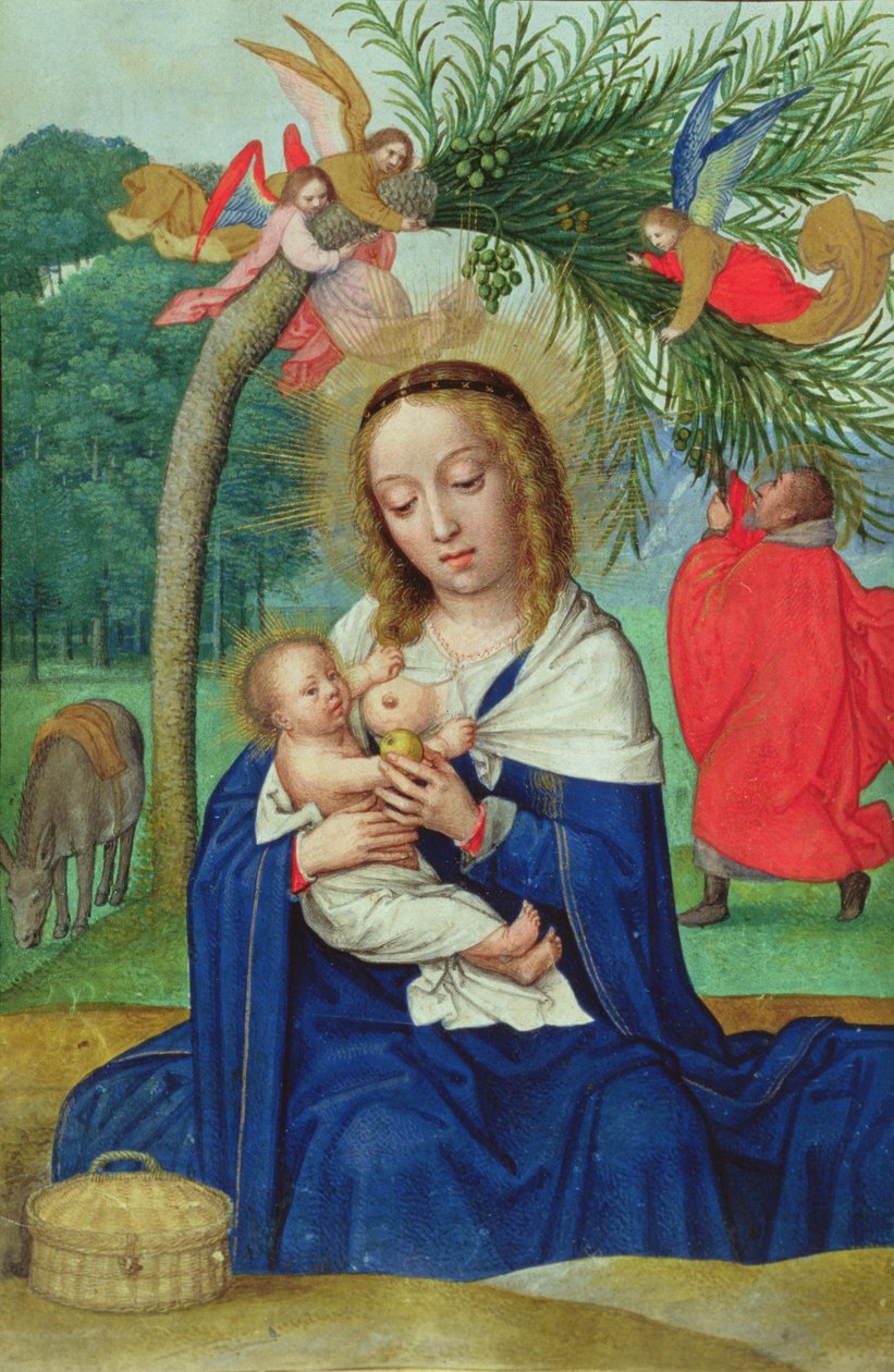 Il Riposo durante la Fuga in Egitto, miniatura dal Libro delle Ore di Norfolk da Simon Bening