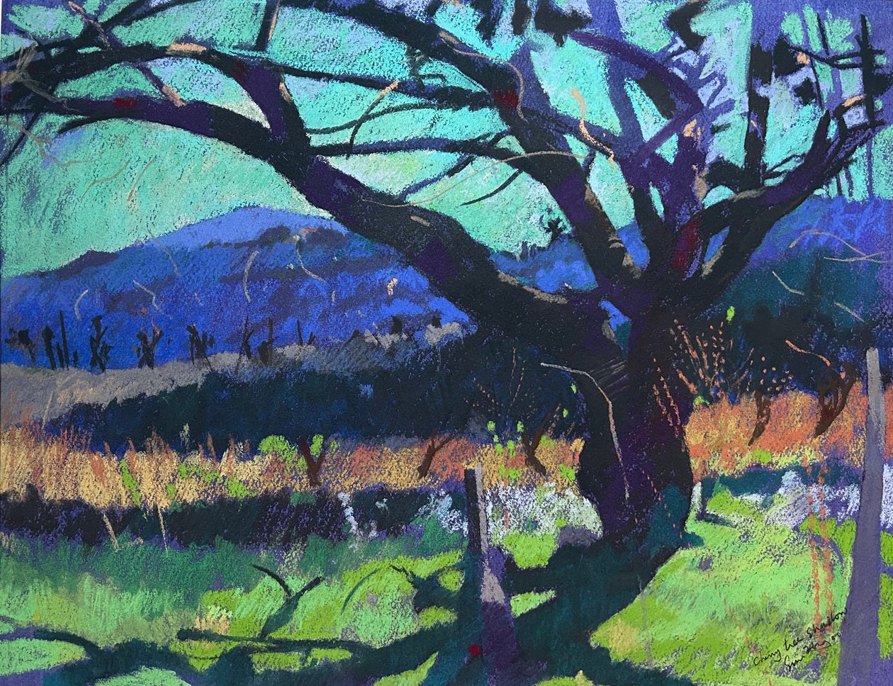 Ombra di ciliegio, 2000 (pastello) da Simon Fletcher