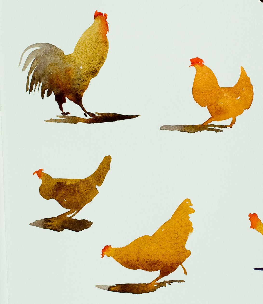 Gallo e tre galline, 2013 (acquerello) da Simon Fletcher