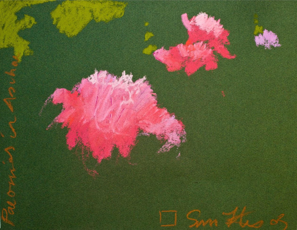 Peonie ad Aschau (pastello su carta) da Simon Fletcher