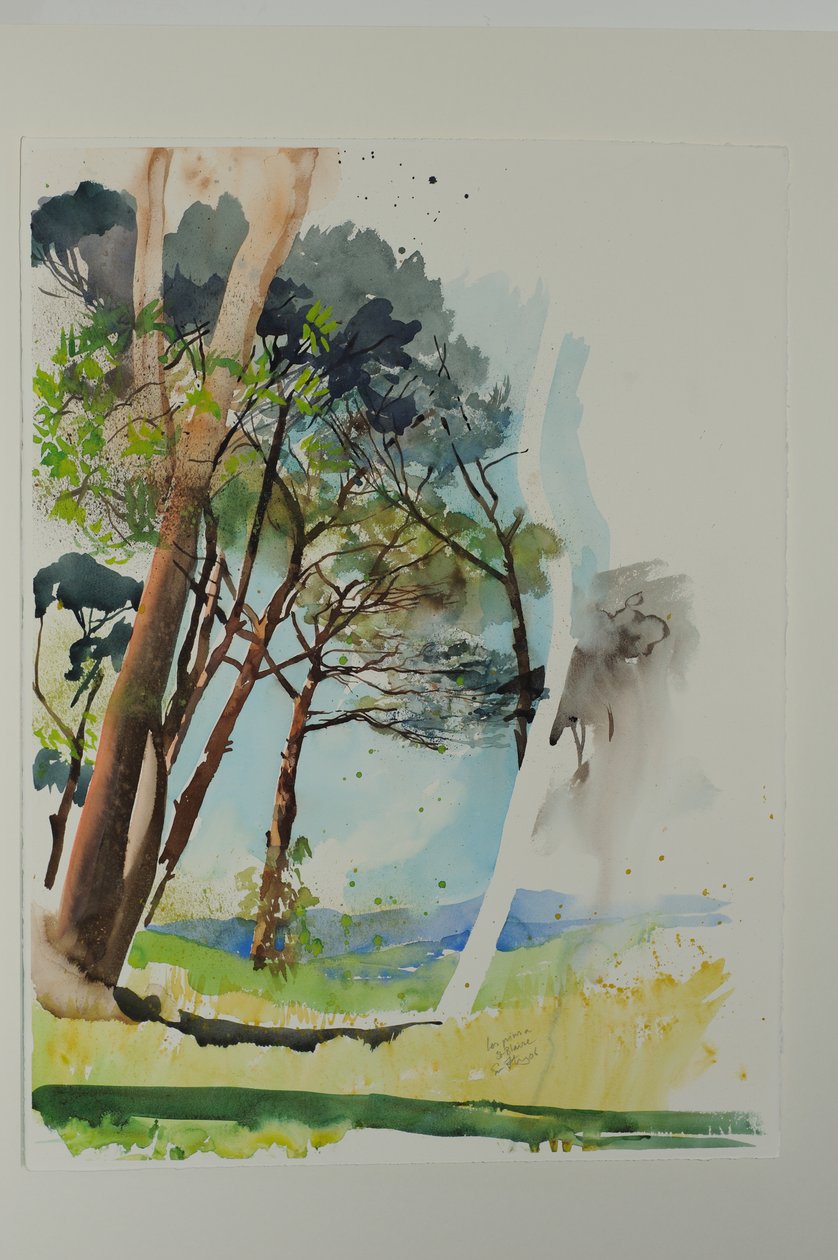 Pini a St. Blaise, 2004 (acquerello su carta) da Simon Fletcher