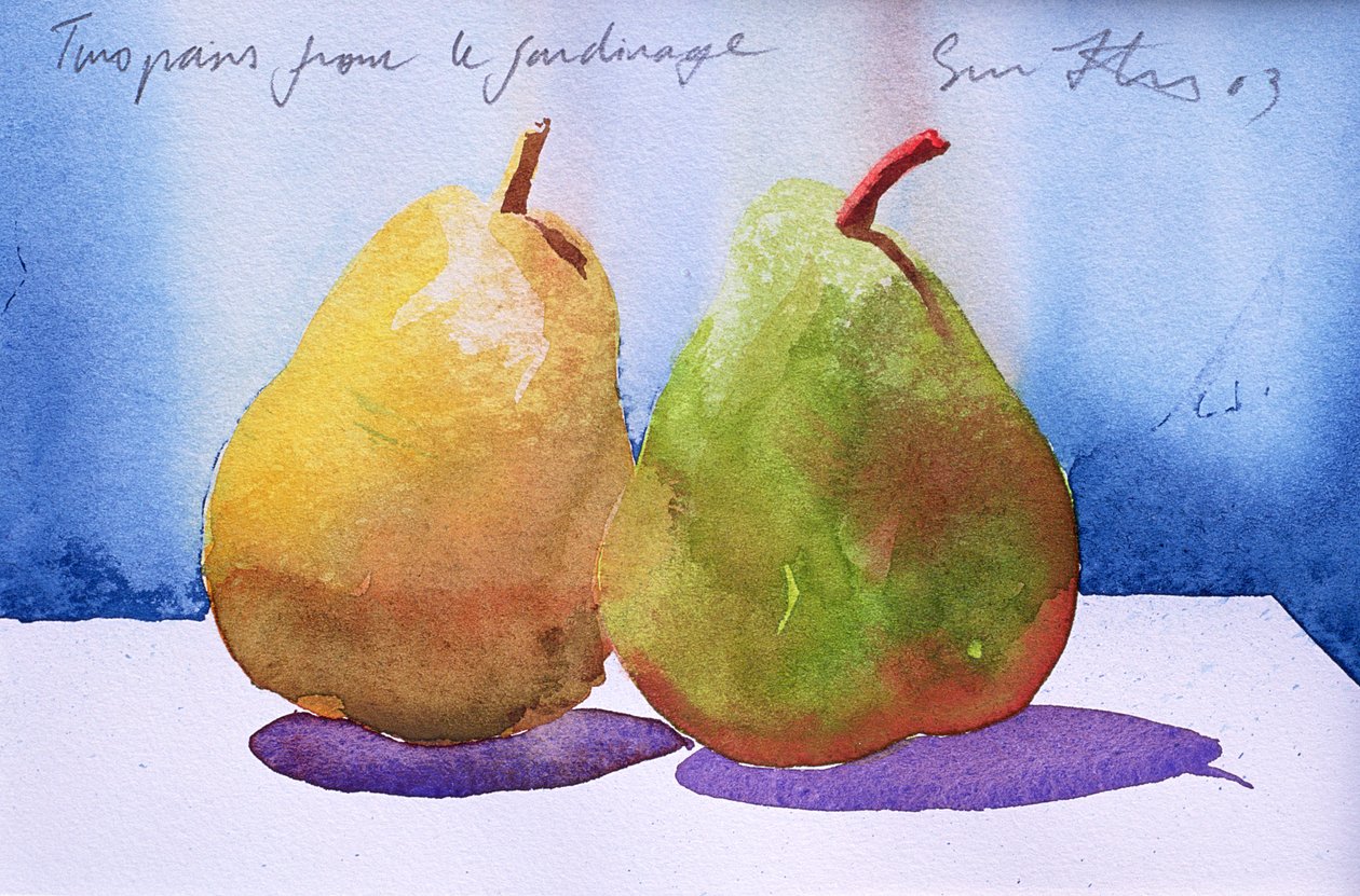 Due pere del giardino, 2003 (acquerello su carta) da Simon Fletcher
