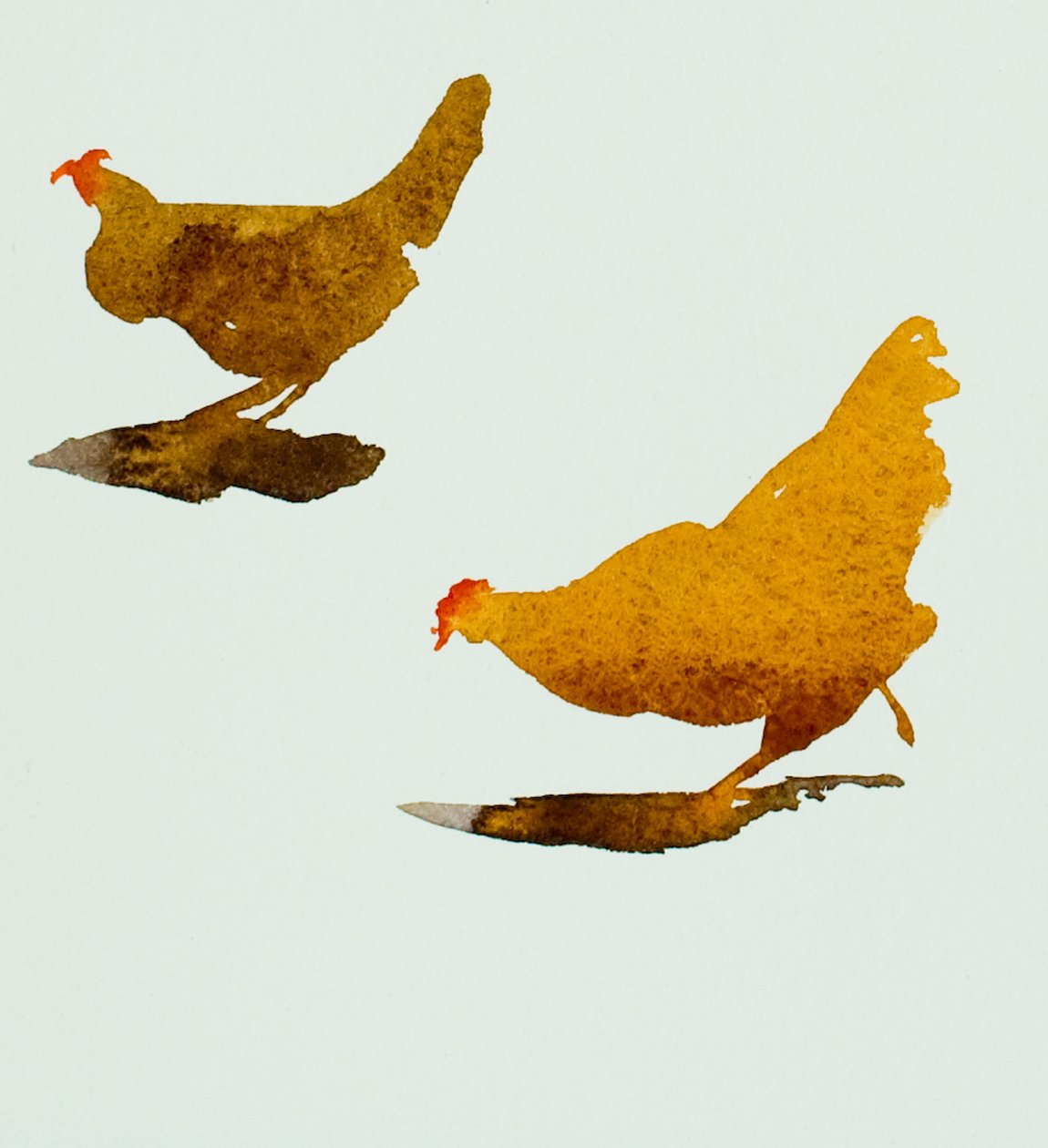 Due galline, 2013(acquerello) da Simon Fletcher
