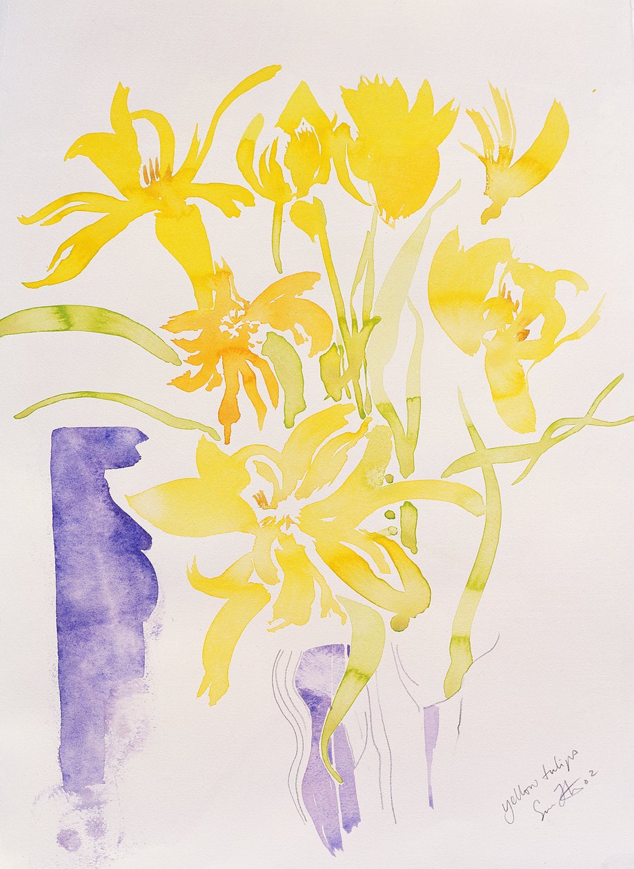 Tulipani gialli, 2000 (acquerello) da Simon Fletcher