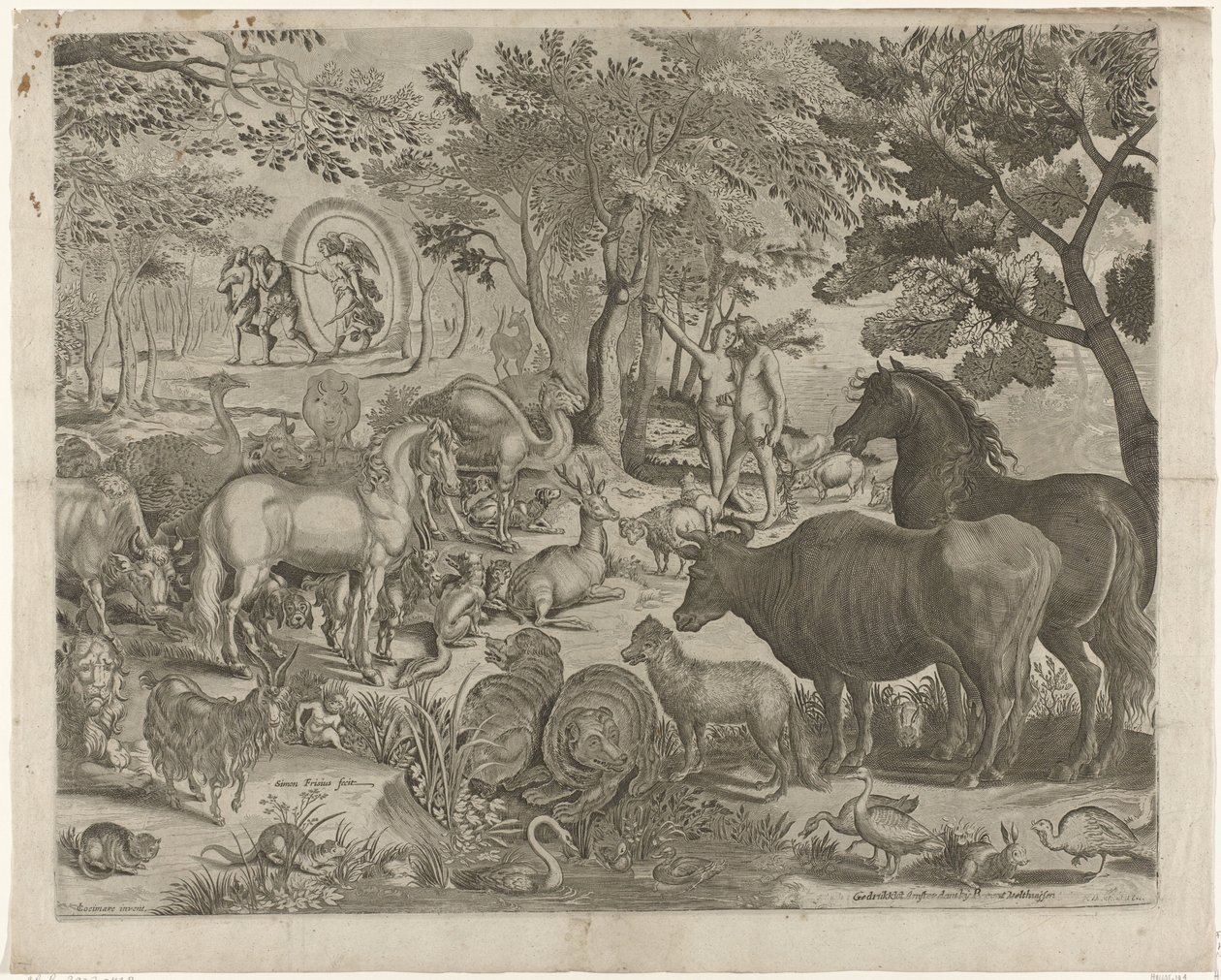 Espulsione dal Paradiso da Simon Frisius