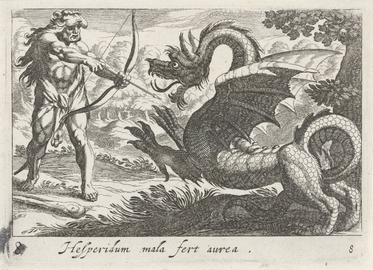Ercole uccide il drago Ladone da Simon Frisius