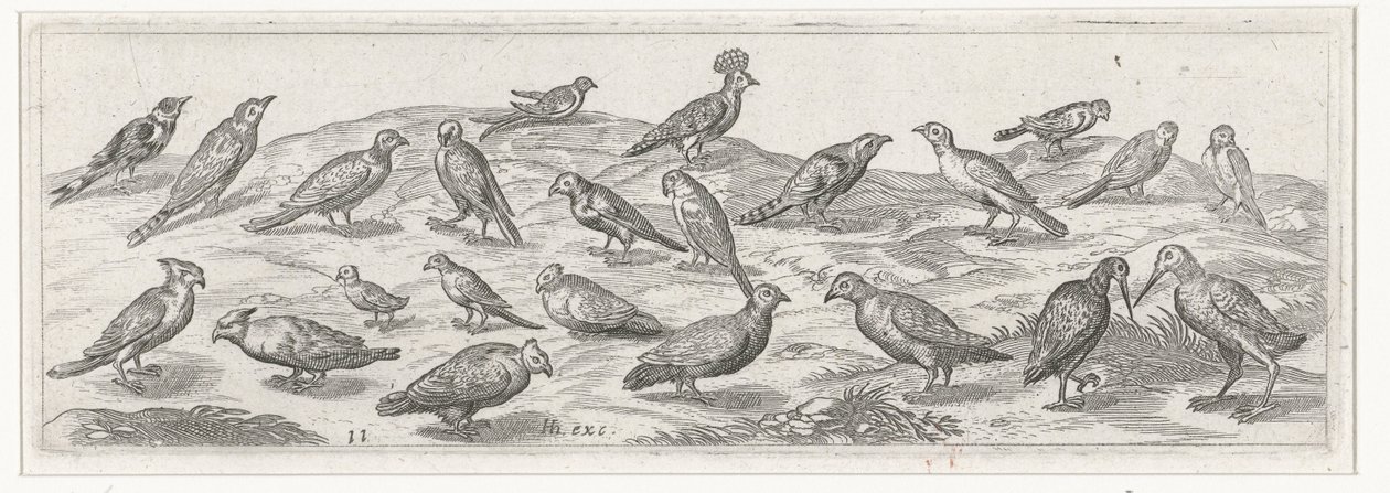 Paesaggio con diversi tipi di uccelli da Simon Frisius