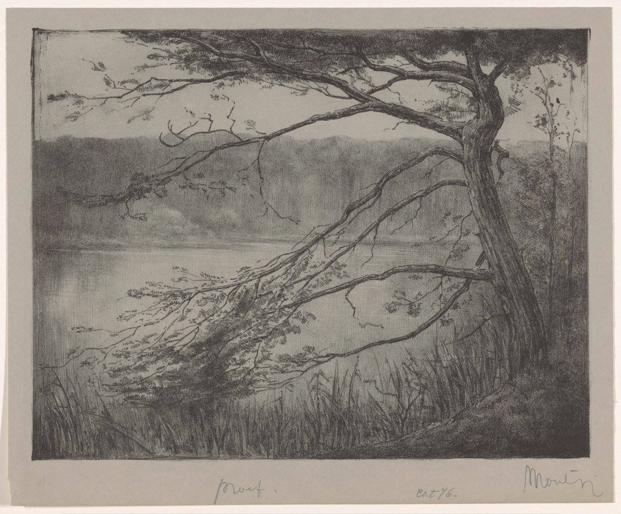 Palude vicino a Oisterwijk da Simon Moulijn (signed by artist)