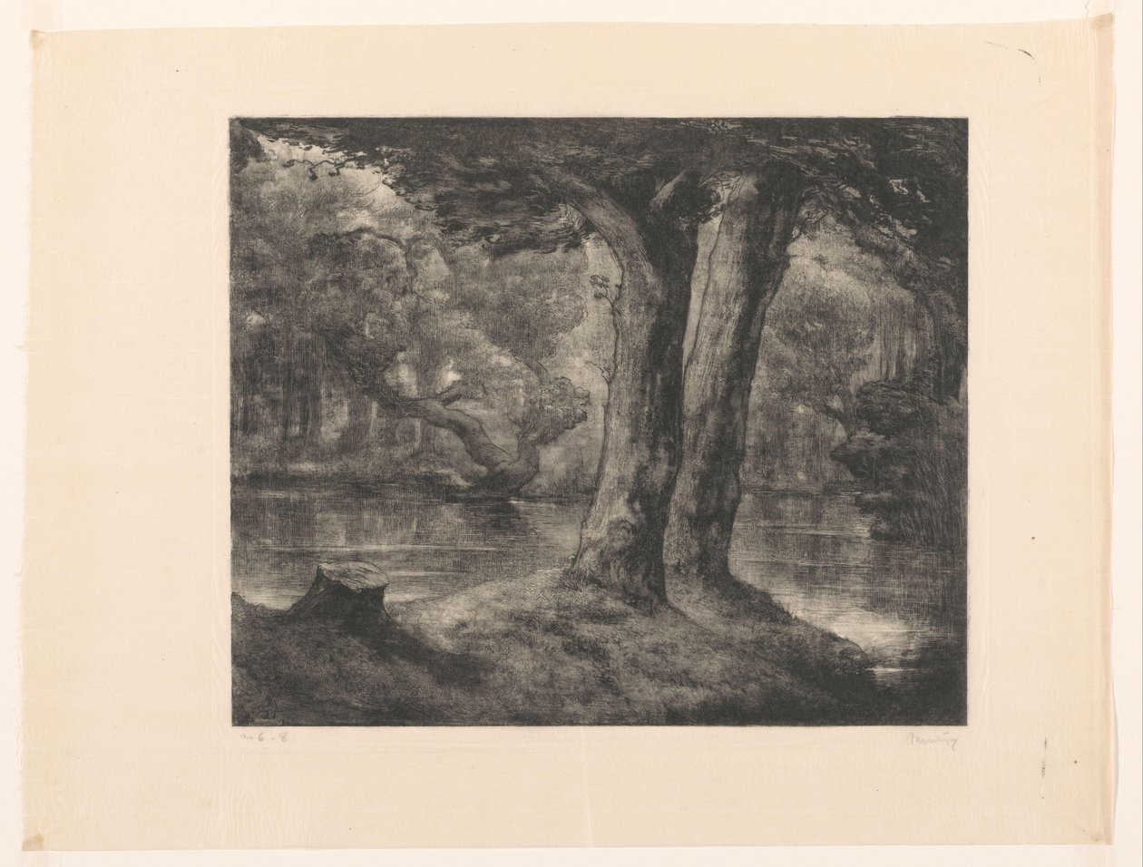 Acqua in una foresta da Simon Moulijn (signed by artist)