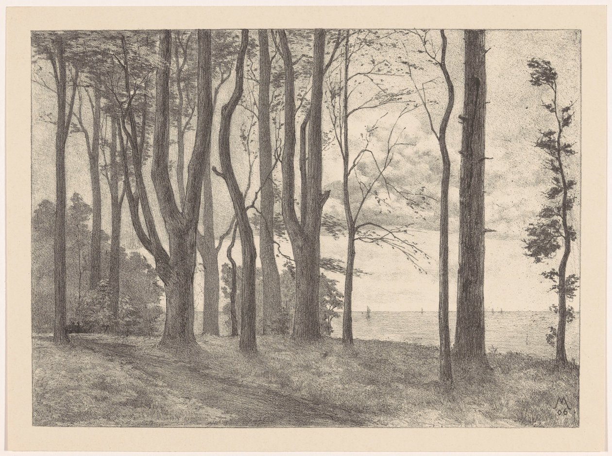 Alberi sull