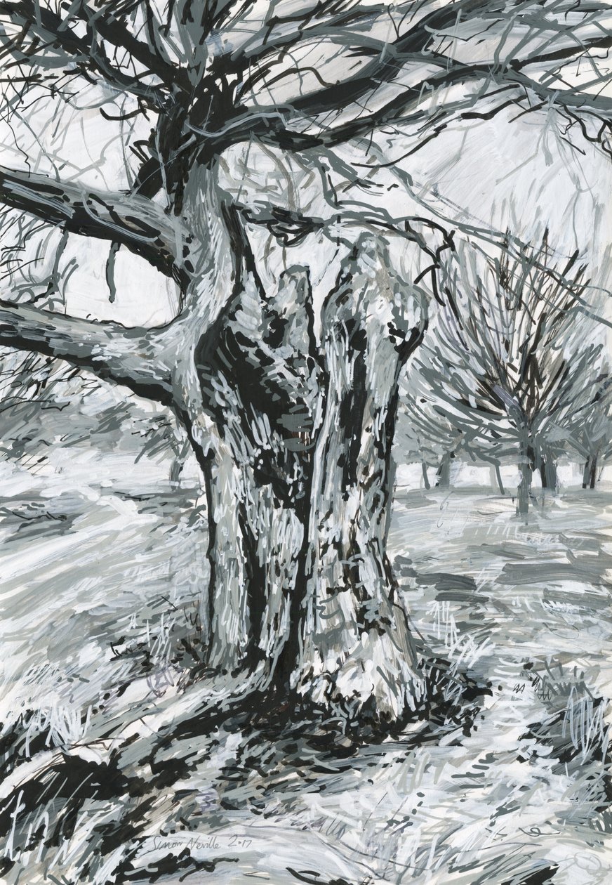 Vecchio albero, Richmond Park (colori acrilici e inchiostro su carta) da Simon Neville