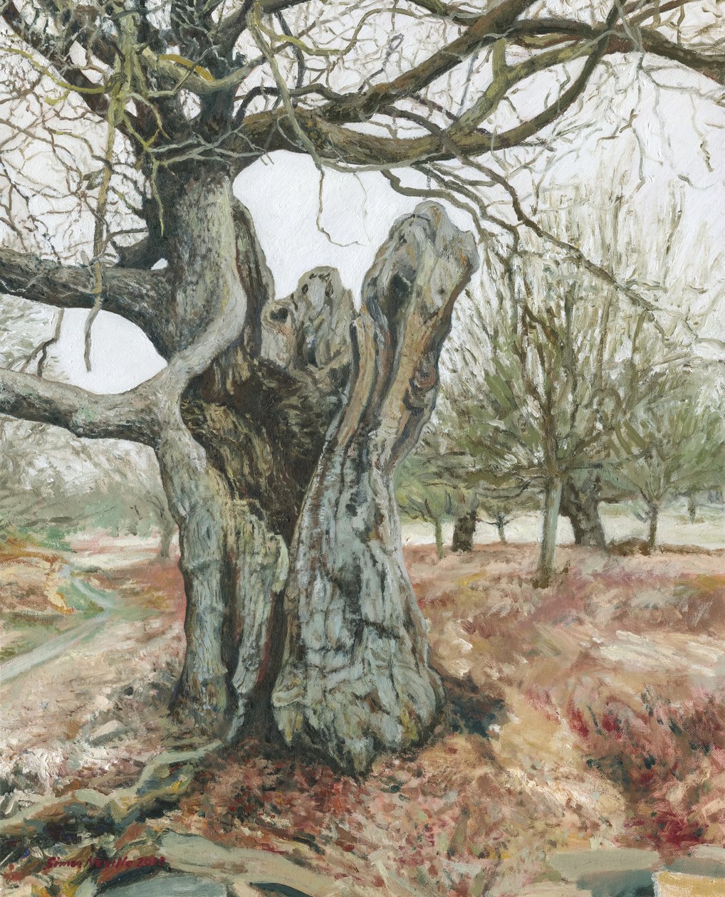 Vecchio albero, Richmond Park, 2018 (olio su lino) da Simon Neville