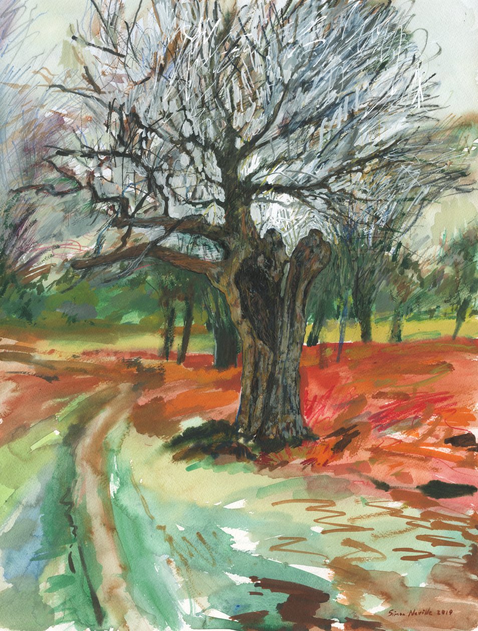 Vecchio albero, Richmond Park, 2019 da Simon Neville