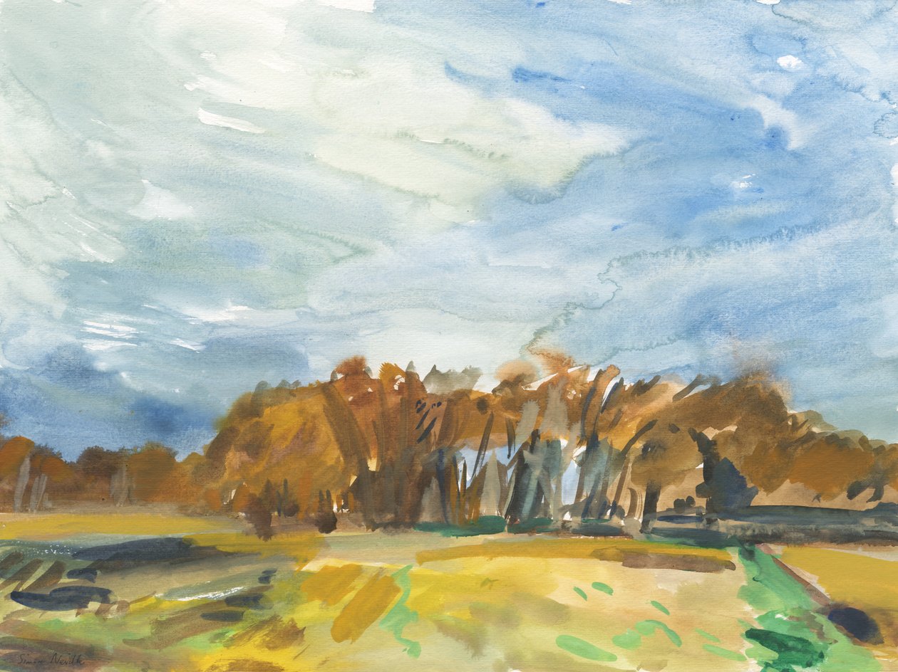 Richmond Park, 2018 (acquerello su carta) da Simon Neville