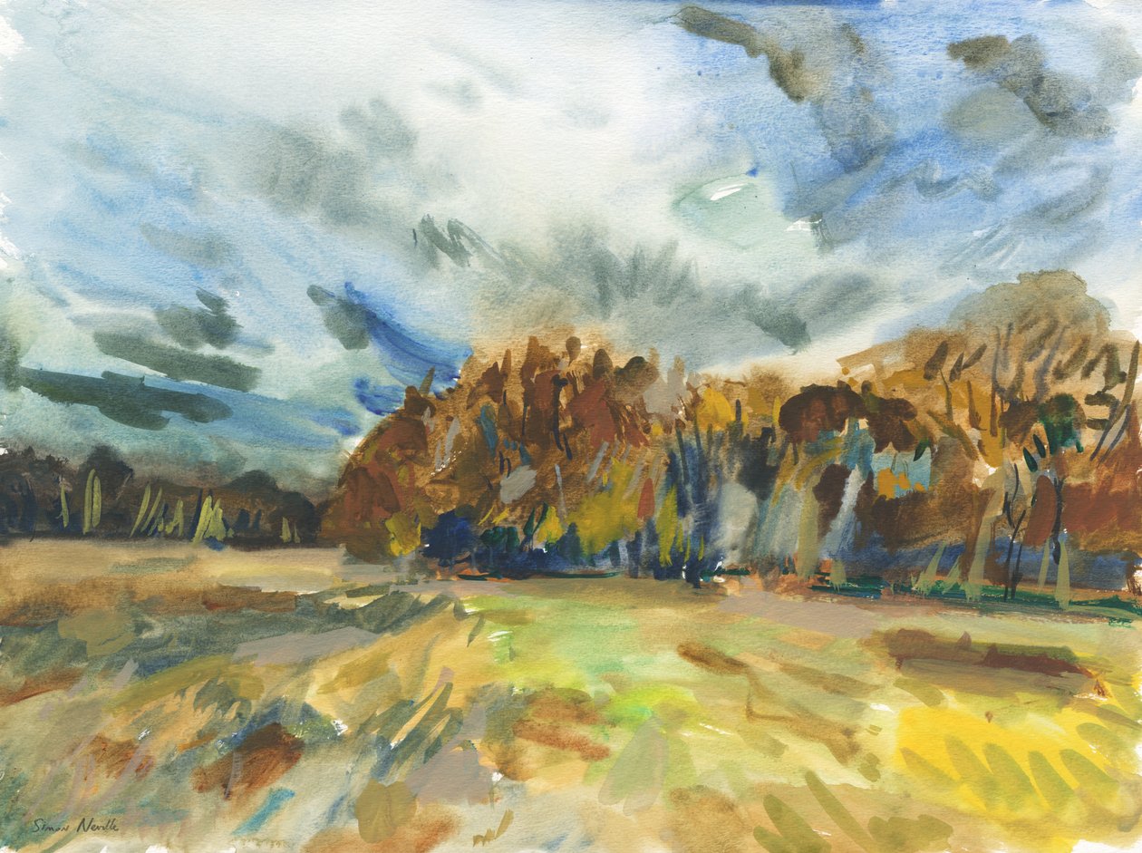 Richmond Park, 2018 (acquerello su carta) da Simon Neville