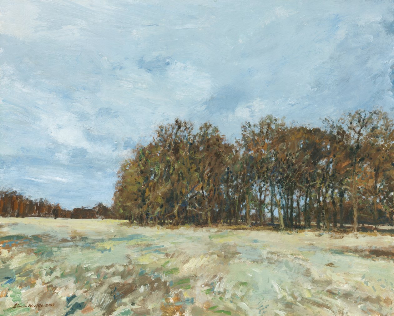 Bosco, Richmond Park, 2019 (olio su pannello) da Simon Neville