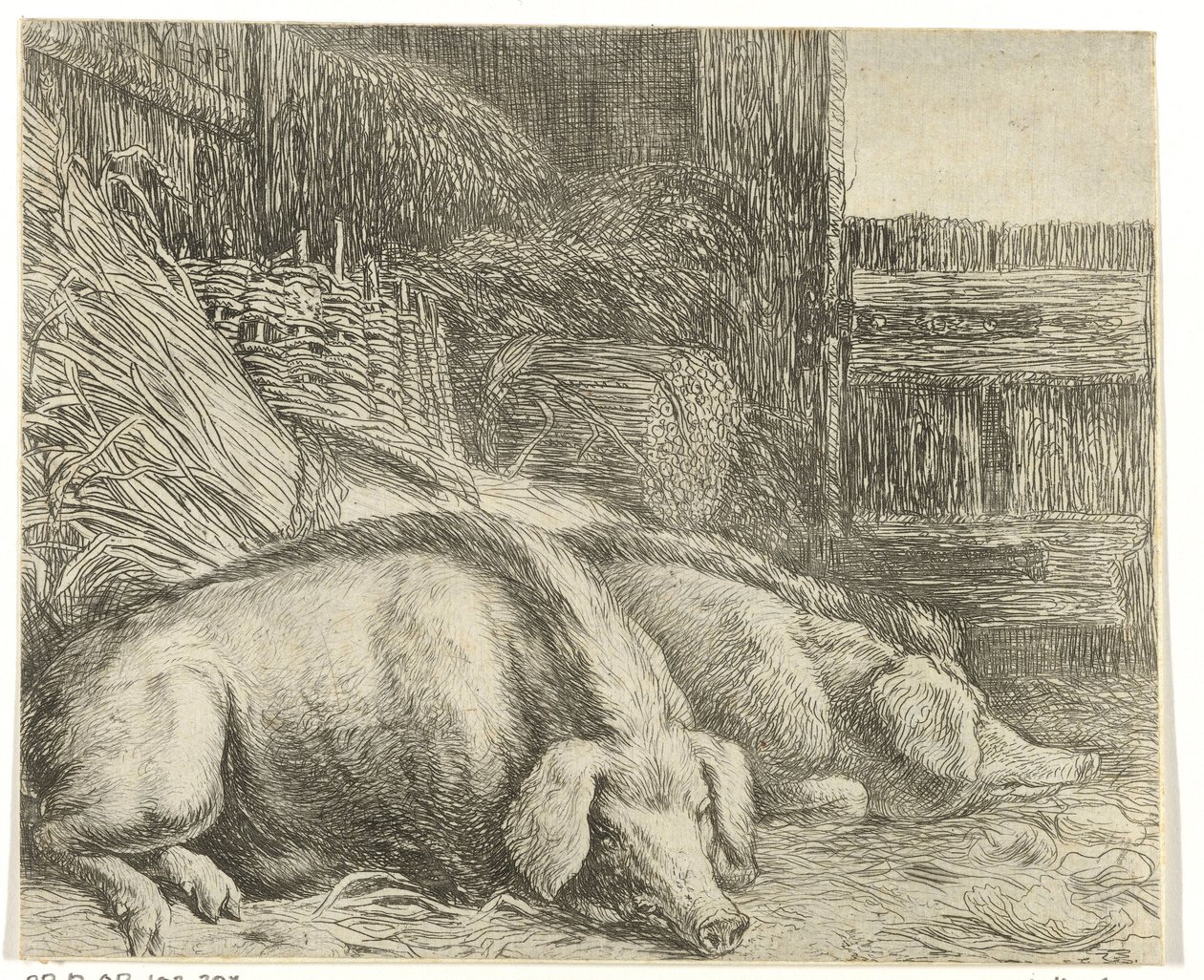 Due maiali da Simon de Vlieger