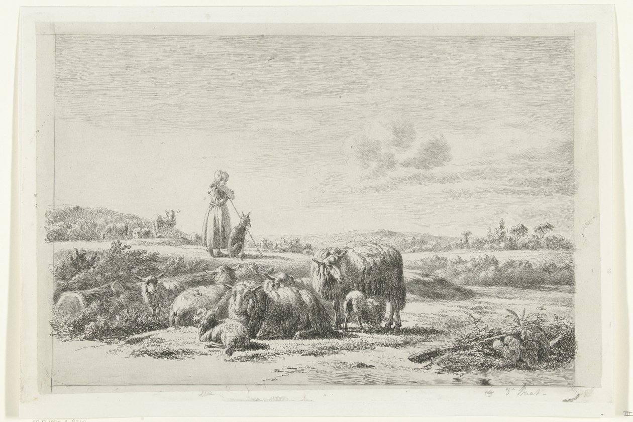 Paesaggio con pastorella e cane presso un gregge di pecore da Simon van den Berg