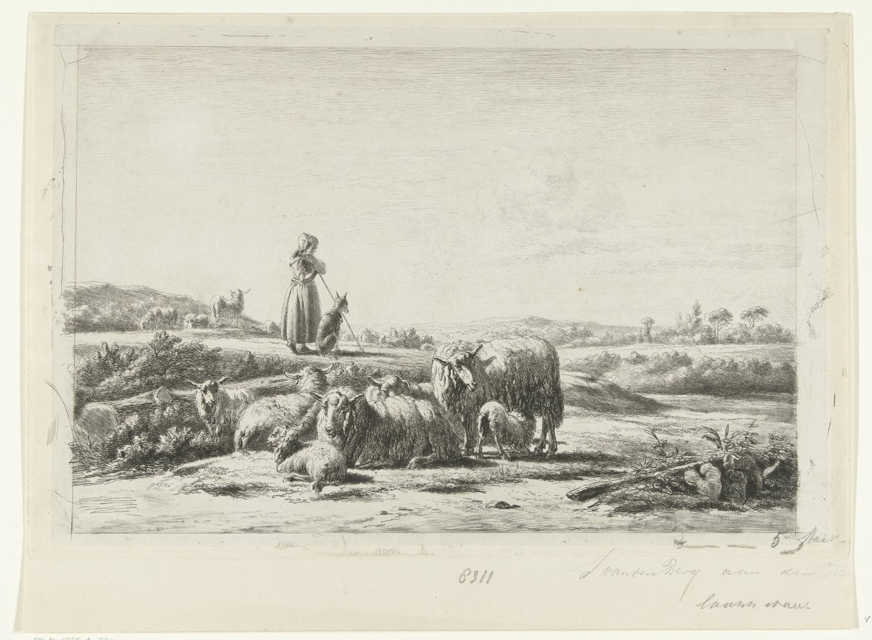Paesaggio con pastorella e cane presso un gregge di pecore da Simon van den Berg