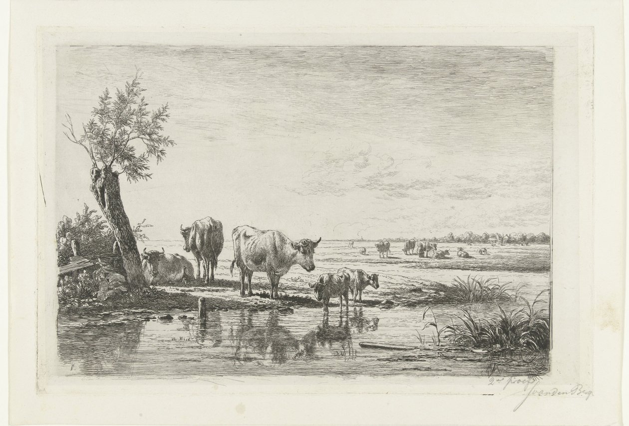 Paesaggio pastorale con mucche vicino all