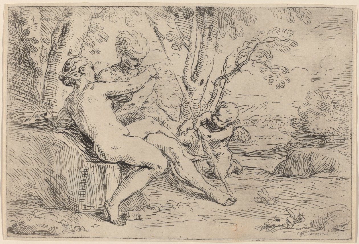 Venere e Adone da Simone Cantarini