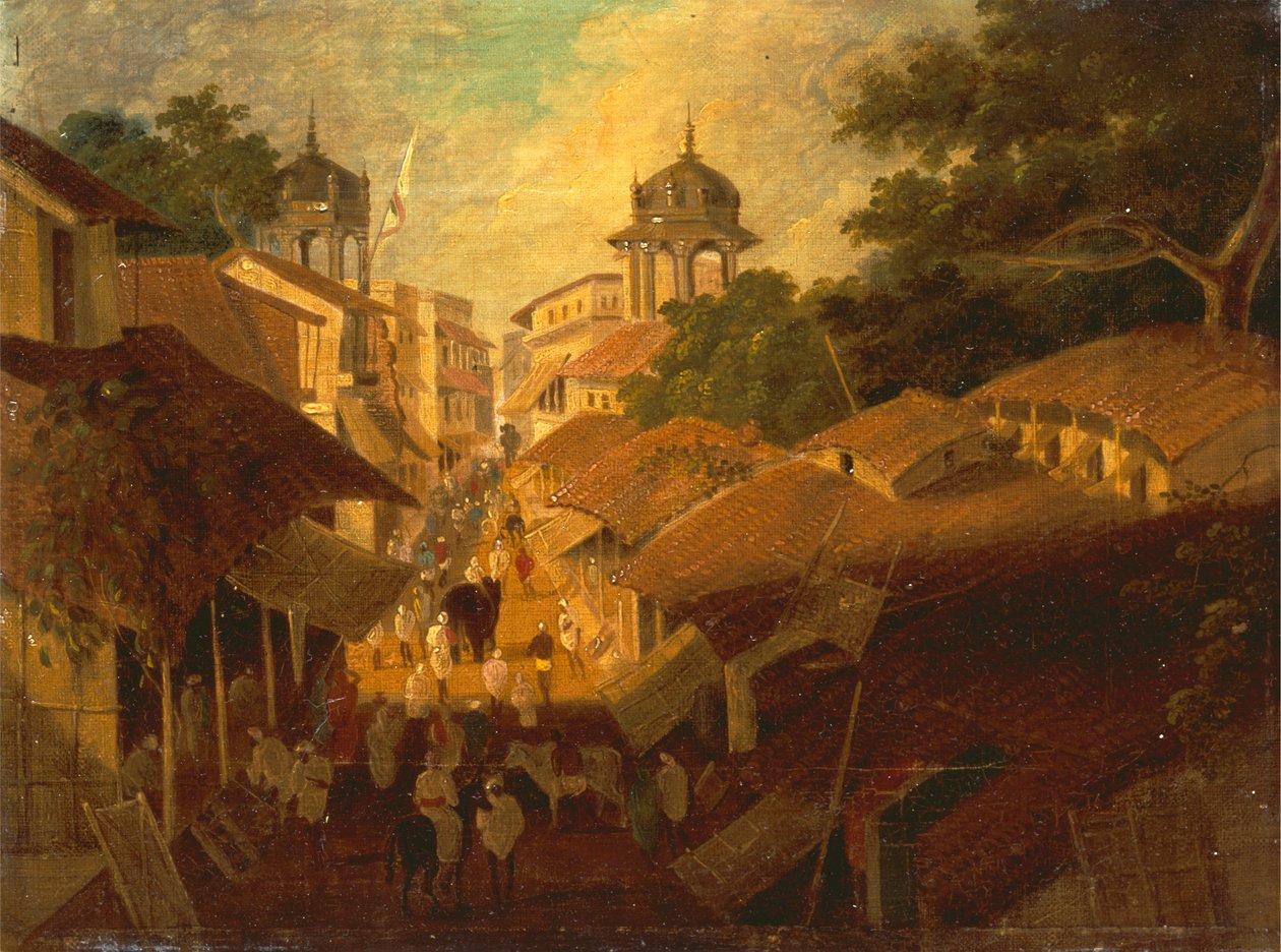 Strada a Patna da Sir Charles D