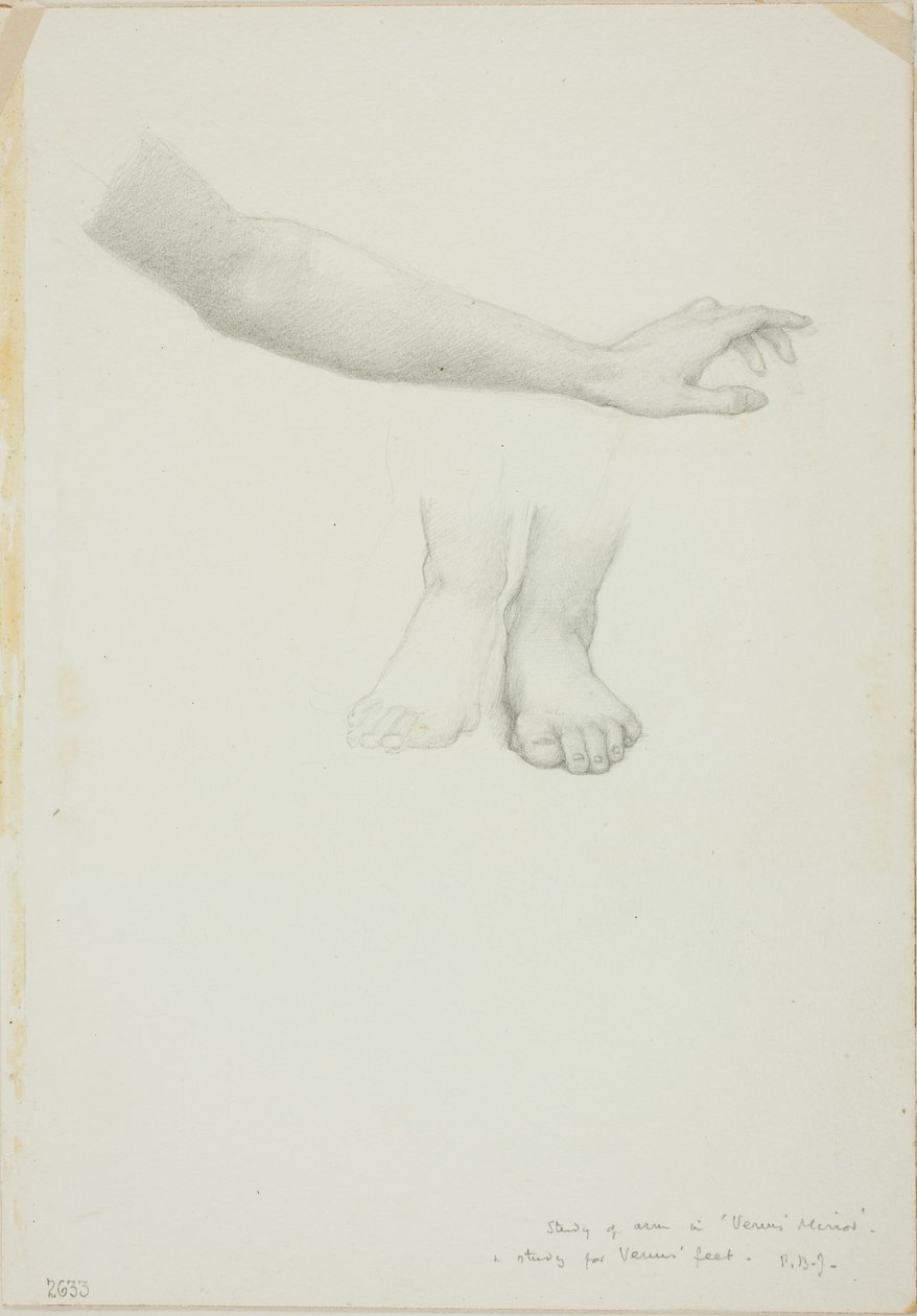 Braccio e Piedi, studio per Specchio di Venere da Sir Edward Burne Jones