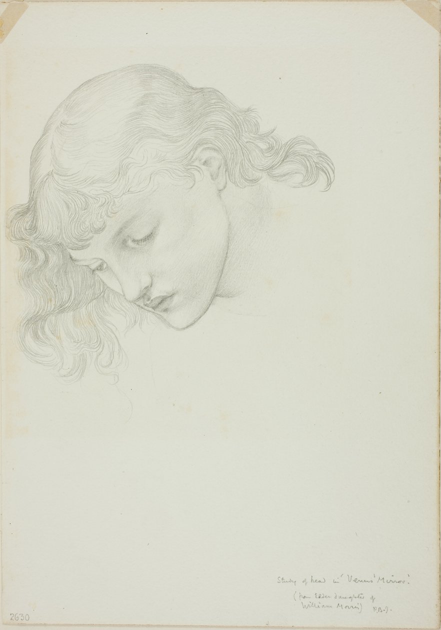 Testa, studio per Specchio di Venere da Sir Edward Burne Jones