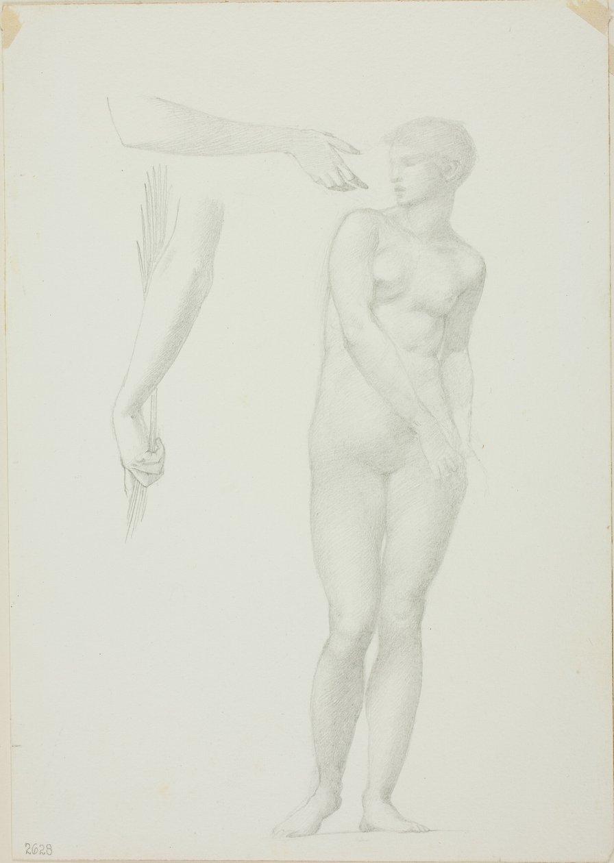 Nudo femminile in piedi e schizzi di braccia da Sir Edward Burne Jones