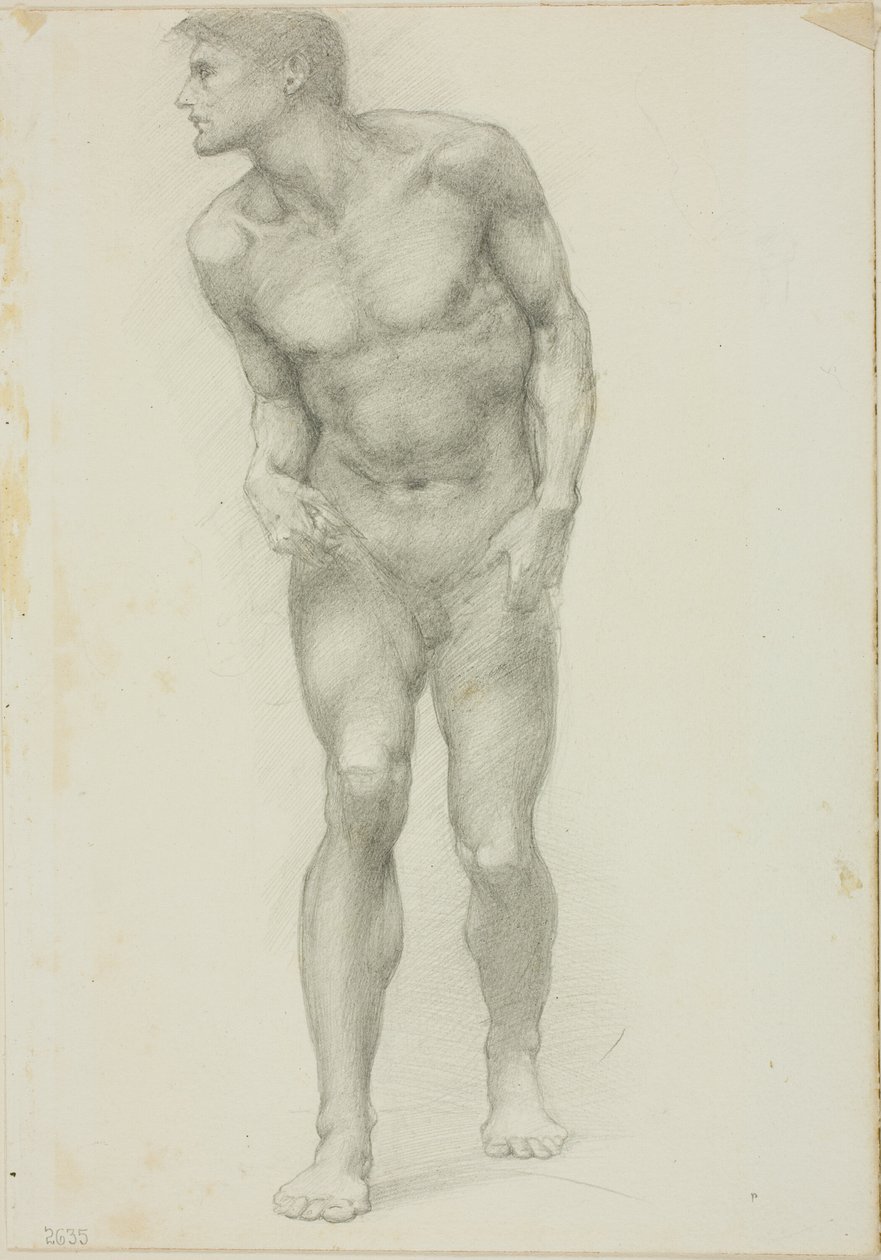 Nudo maschile in piedi con il volto di profilo da Sir Edward Burne Jones