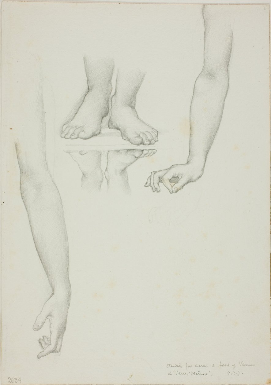 Studio per Specchio di Venere: Braccia e Piedi di Venere da Sir Edward Burne Jones